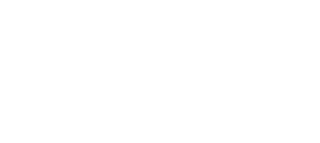 Flex Standard logo